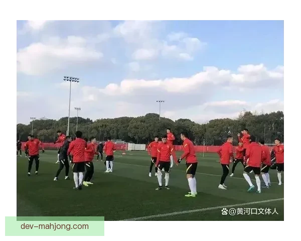 世界杯资格赛备战蓝图下转会风云与战术调整释放信号对国家队未来走向的启示 世界杯资格赛备战蓝图下转会风云与战术调整释放信号对国家队未来走向的启示